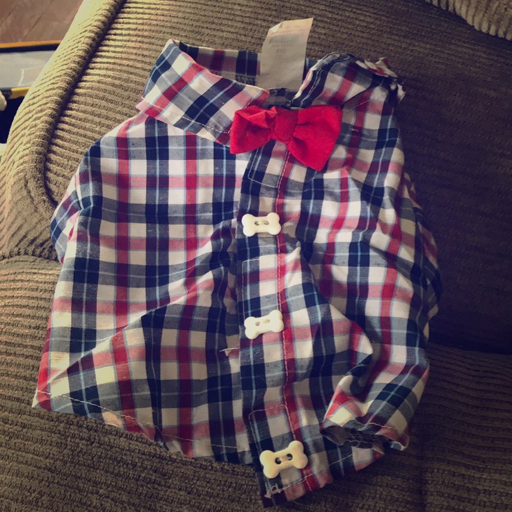 Dog shirt